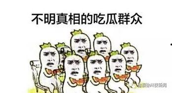 吃瓜群众的流行词句,揭秘娱乐圈那些事儿