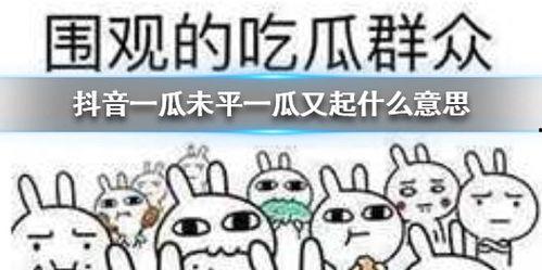 天天在抖音吃瓜,揭秘娱乐圈幕后故事