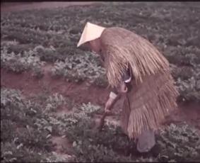 苏木吃瓜剧照,解锁夏日清凉新姿势