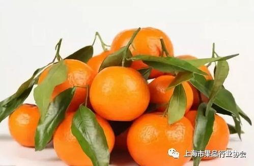 阿橘吃瓜,揭秘娱乐圈那些不为人知的幕后故事