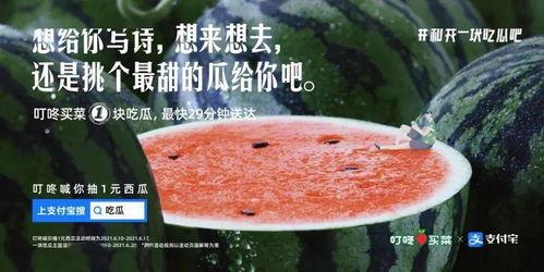 宅家吃瓜文案,解锁夏日休闲新姿势