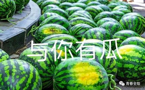 吃瓜吃到自己大学,我的大学生活转变之旅