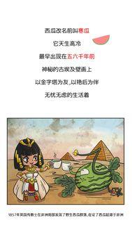 历史吃瓜小故事视频,那些年历史长河中的吃瓜小故事