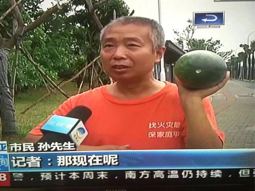 杨威吃瓜群众是真的吗视频,杨威吃瓜群众视频真相揭秘